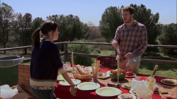 THE PICNIC WE'RE HAVING.  