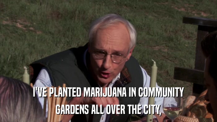 I'VE PLANTED MARIJUANA IN COMMUNITY GARDENS ALL OVER THE CITY, 