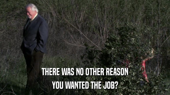 THERE WAS NO OTHER REASON YOU WANTED THE JOB? 