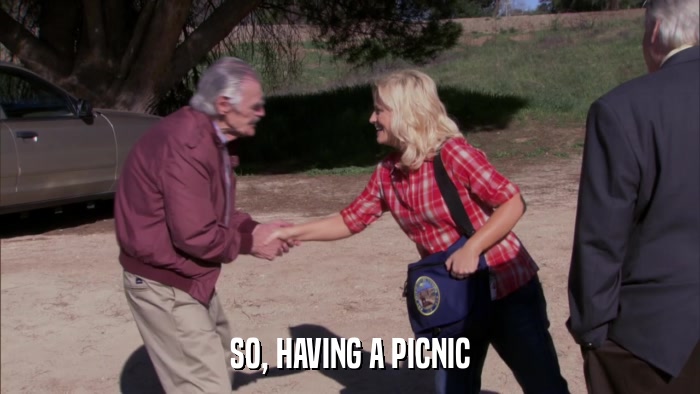 SO, HAVING A PICNIC  