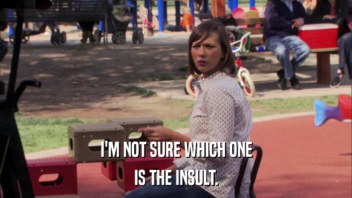 I'M NOT SURE WHICH ONE IS THE INSULT. 
