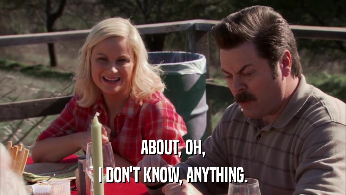 ABOUT, OH, I DON'T KNOW, ANYTHING. 