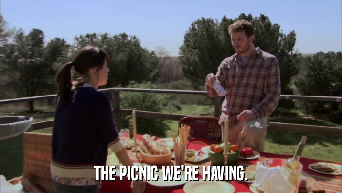 THE PICNIC WE'RE HAVING.  