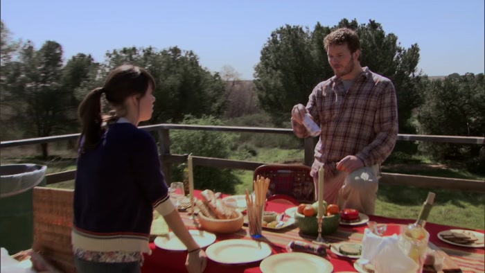 THE PICNIC WE'RE HAVING.  