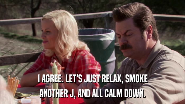 I AGREE. LET'S JUST RELAX, SMOKE ANOTHER J, AND ALL CALM DOWN. 