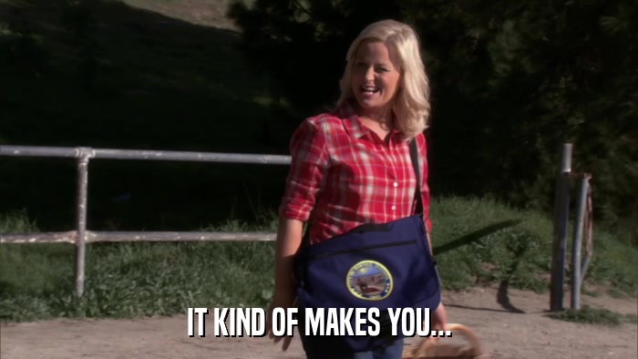 IT KIND OF MAKES YOU...  