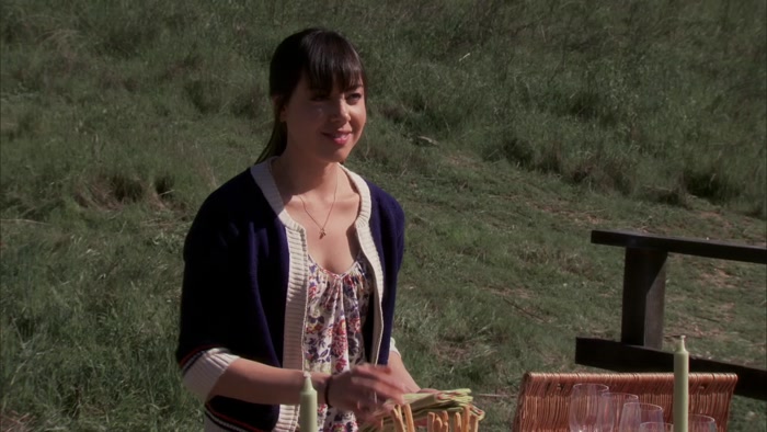I ALREADY HAVE THE PERFECT TITLE, LIFE IS A PICNIC. 