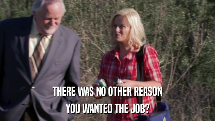 THERE WAS NO OTHER REASON YOU WANTED THE JOB? 