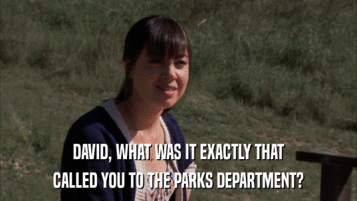 DAVID, WHAT WAS IT EXACTLY THAT CALLED YOU TO THE PARKS DEPARTMENT? 