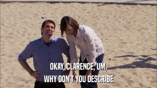 OKAY, CLARENCE, UM, WHY DON'T YOU DESCRIBE 