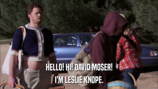 HELLO! HI! DAVID MOSER! I'M LESLIE KNOPE. 