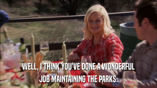 WELL, I THINK YOU'VE DONE A WONDERFUL JOB MAINTAINING THE PARKS. 