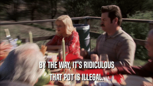 BY THE WAY, IT'S RIDICULOUS THAT POT IS ILLEGAL. 