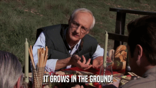 IT GROWS IN THE GROUND!  