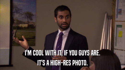 I'M COOL WITH IT, IF YOU GUYS ARE. IT'S A HIGH-RES PHOTO. 