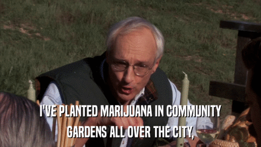 I'VE PLANTED MARIJUANA IN COMMUNITY GARDENS ALL OVER THE CITY, 