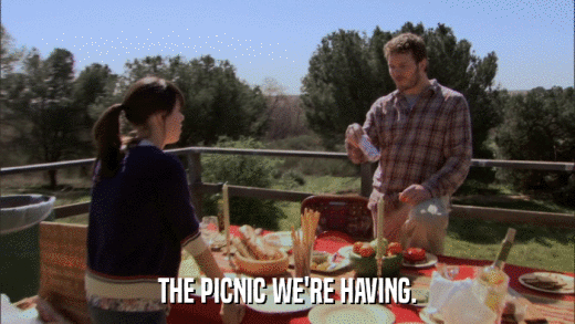 THE PICNIC WE'RE HAVING.  