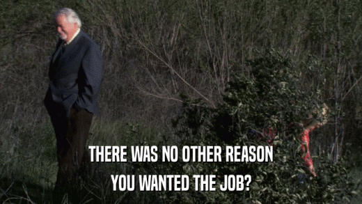 THERE WAS NO OTHER REASON YOU WANTED THE JOB? 