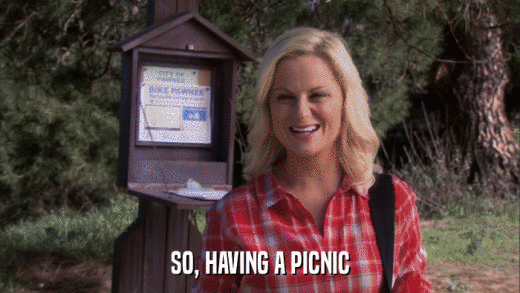 SO, HAVING A PICNIC  