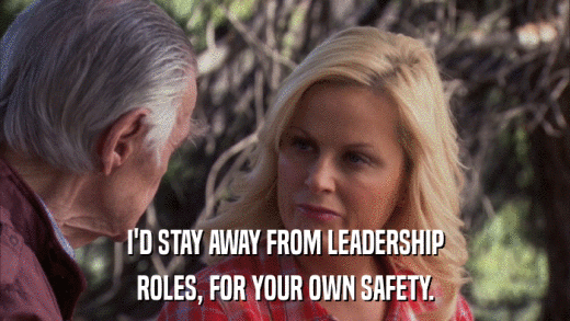 I'D STAY AWAY FROM LEADERSHIP ROLES, FOR YOUR OWN SAFETY. 