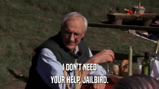 I DON'T NEED YOUR HELP, JAILBIRD. 