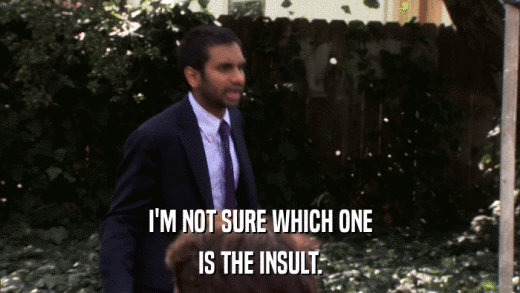 I'M NOT SURE WHICH ONE IS THE INSULT. 