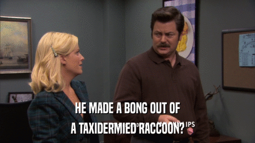 HE MADE A BONG OUT OF A TAXIDERMIED RACCOON? 