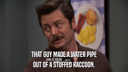 THAT GUY MADE A WATER PIPE OUT OF A STUFFED RACCOON. 