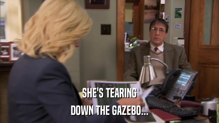 SHE'S TEARING DOWN THE GAZEBO... 