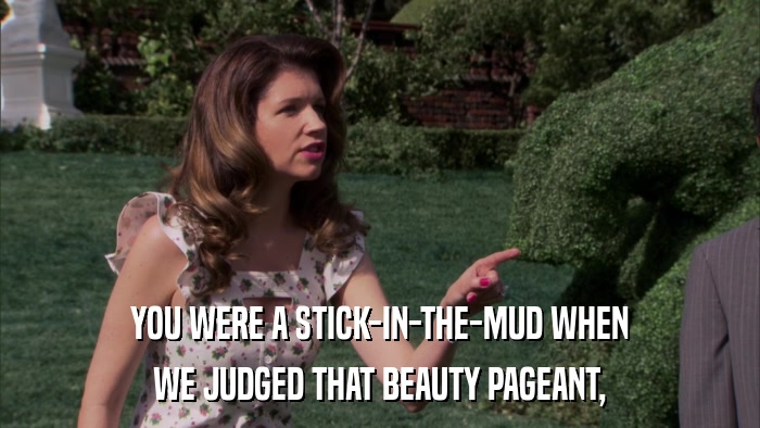YOU WERE A STICK-IN-THE-MUD WHEN WE JUDGED THAT BEAUTY PAGEANT, 
