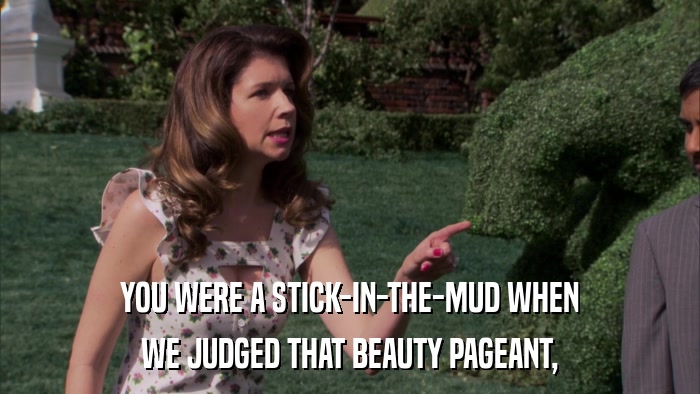 YOU WERE A STICK-IN-THE-MUD WHEN WE JUDGED THAT BEAUTY PAGEANT, 