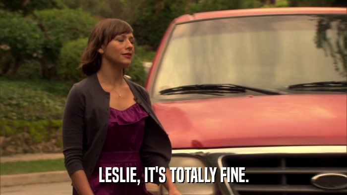 LESLIE, IT'S TOTALLY FINE.  