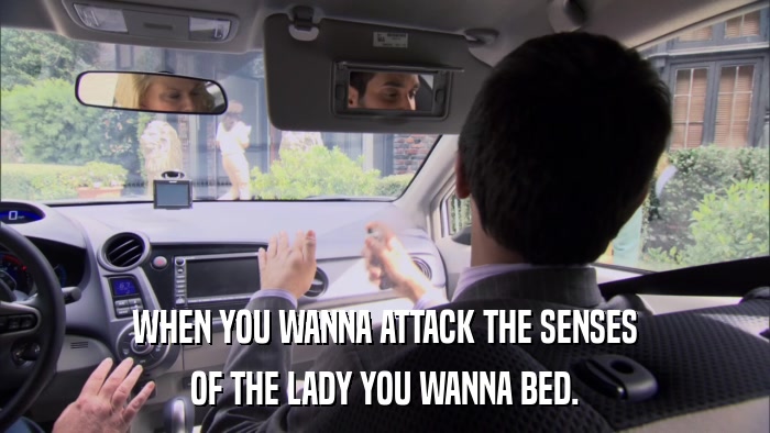 WHEN YOU WANNA ATTACK THE SENSES OF THE LADY YOU WANNA BED. 