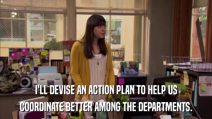 I'LL DEVISE AN ACTION PLAN TO HELP US COORDINATE BETTER AMONG THE DEPARTMENTS. 