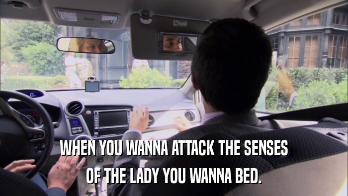 WHEN YOU WANNA ATTACK THE SENSES OF THE LADY YOU WANNA BED. 