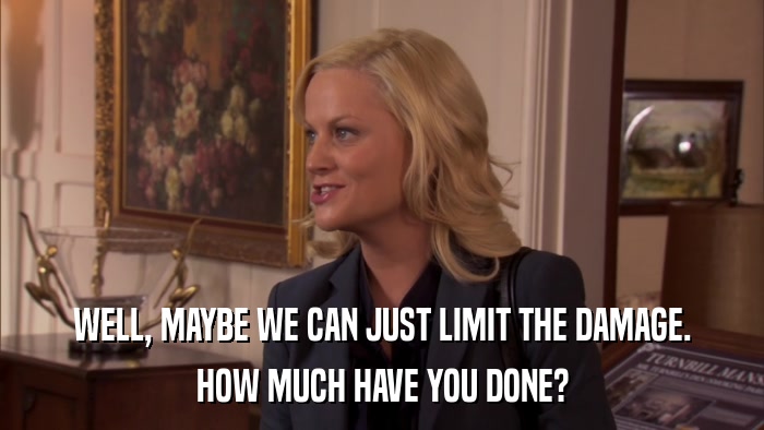 WELL, MAYBE WE CAN JUST LIMIT THE DAMAGE. HOW MUCH HAVE YOU DONE? 
