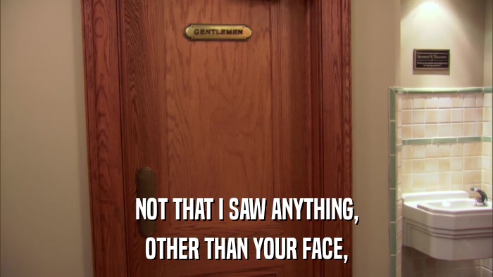 NOT THAT I SAW ANYTHING, OTHER THAN YOUR FACE, 