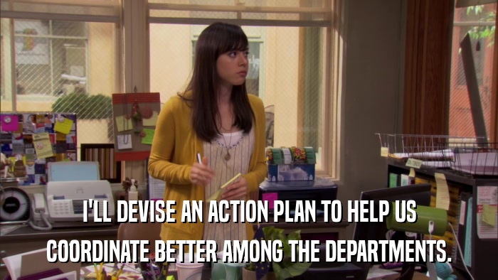 I'LL DEVISE AN ACTION PLAN TO HELP US COORDINATE BETTER AMONG THE DEPARTMENTS. 