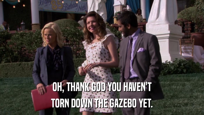 OH, THANK GOD YOU HAVEN'T TORN DOWN THE GAZEBO YET. 