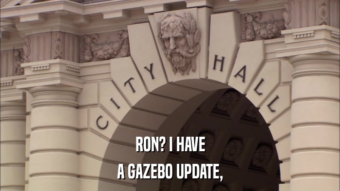 RON? I HAVE A GAZEBO UPDATE, 