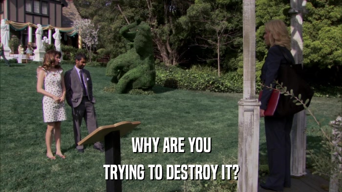 WHY ARE YOU TRYING TO DESTROY IT? 