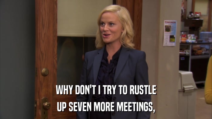 WHY DON'T I TRY TO RUSTLE UP SEVEN MORE MEETINGS, 