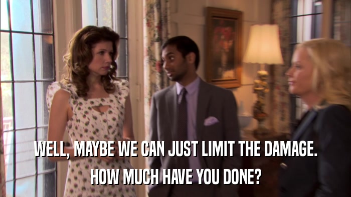 WELL, MAYBE WE CAN JUST LIMIT THE DAMAGE. HOW MUCH HAVE YOU DONE? 