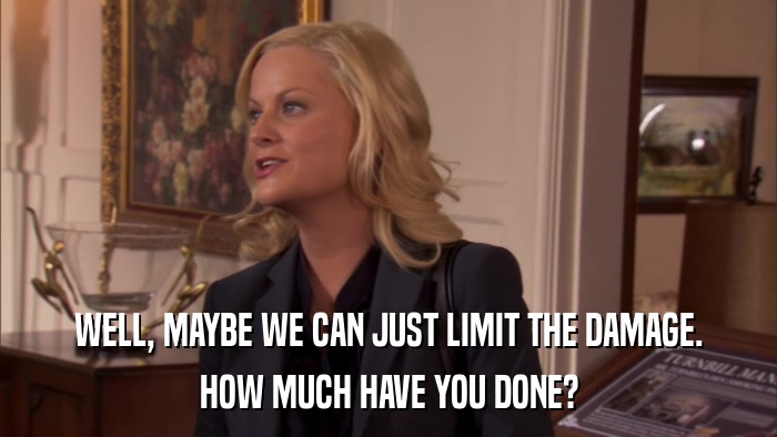 WELL, MAYBE WE CAN JUST LIMIT THE DAMAGE. HOW MUCH HAVE YOU DONE? 