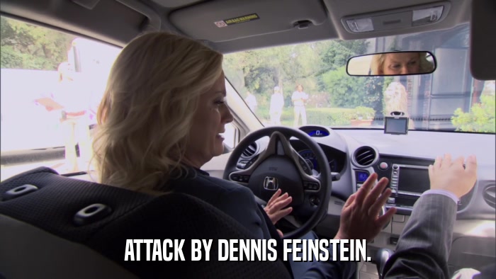 ATTACK BY DENNIS FEINSTEIN.  
