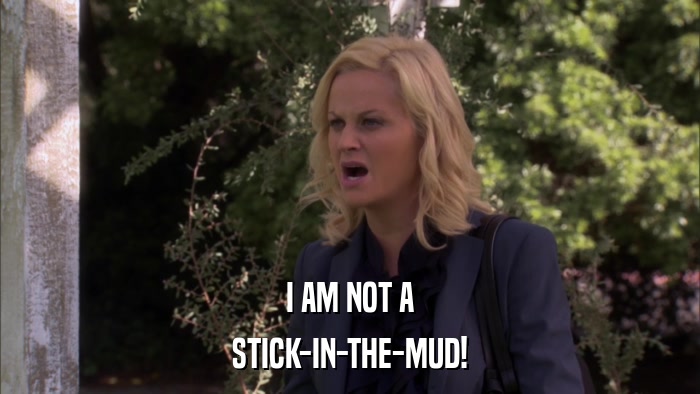 I AM NOT A STICK-IN-THE-MUD! 