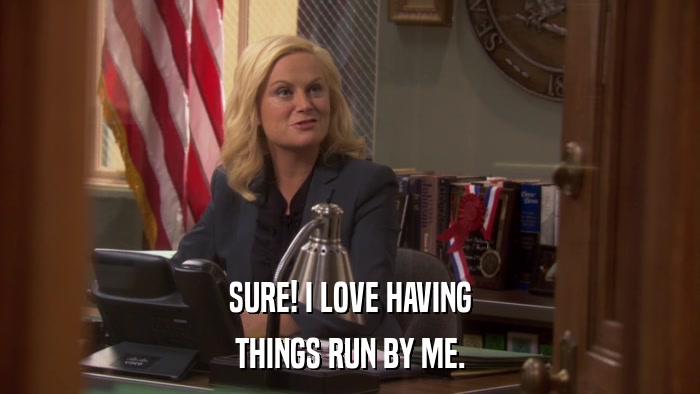 SURE! I LOVE HAVING THINGS RUN BY ME. 