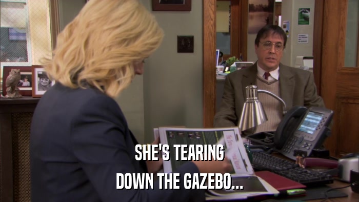 SHE'S TEARING DOWN THE GAZEBO... 