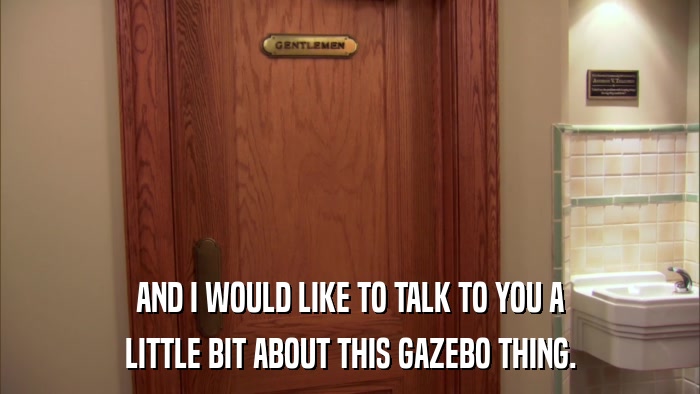 AND I WOULD LIKE TO TALK TO YOU A LITTLE BIT ABOUT THIS GAZEBO THING. 