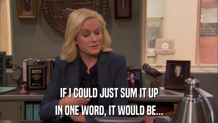 IF I COULD JUST SUM IT UP IN ONE WORD, IT WOULD BE... 